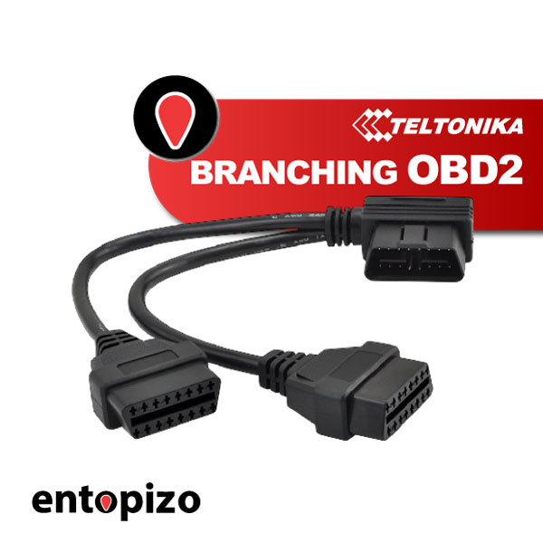 VERTAKKING OBD2