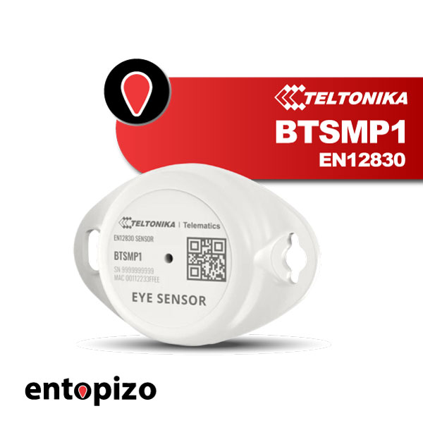 Temperatuursensor | Teltonika BTSMP1 EN12830