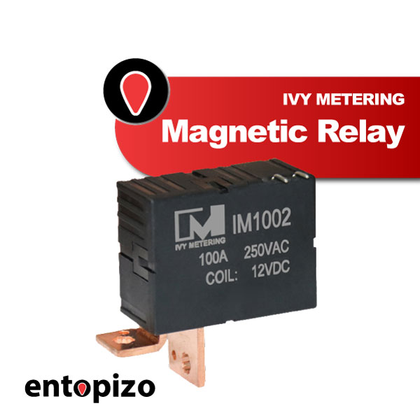 IM1002 Magnetisch relais, bistabiel, 12 VDC, 100 A (2-pins)